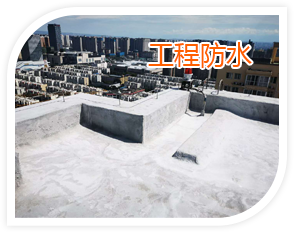 工程防水